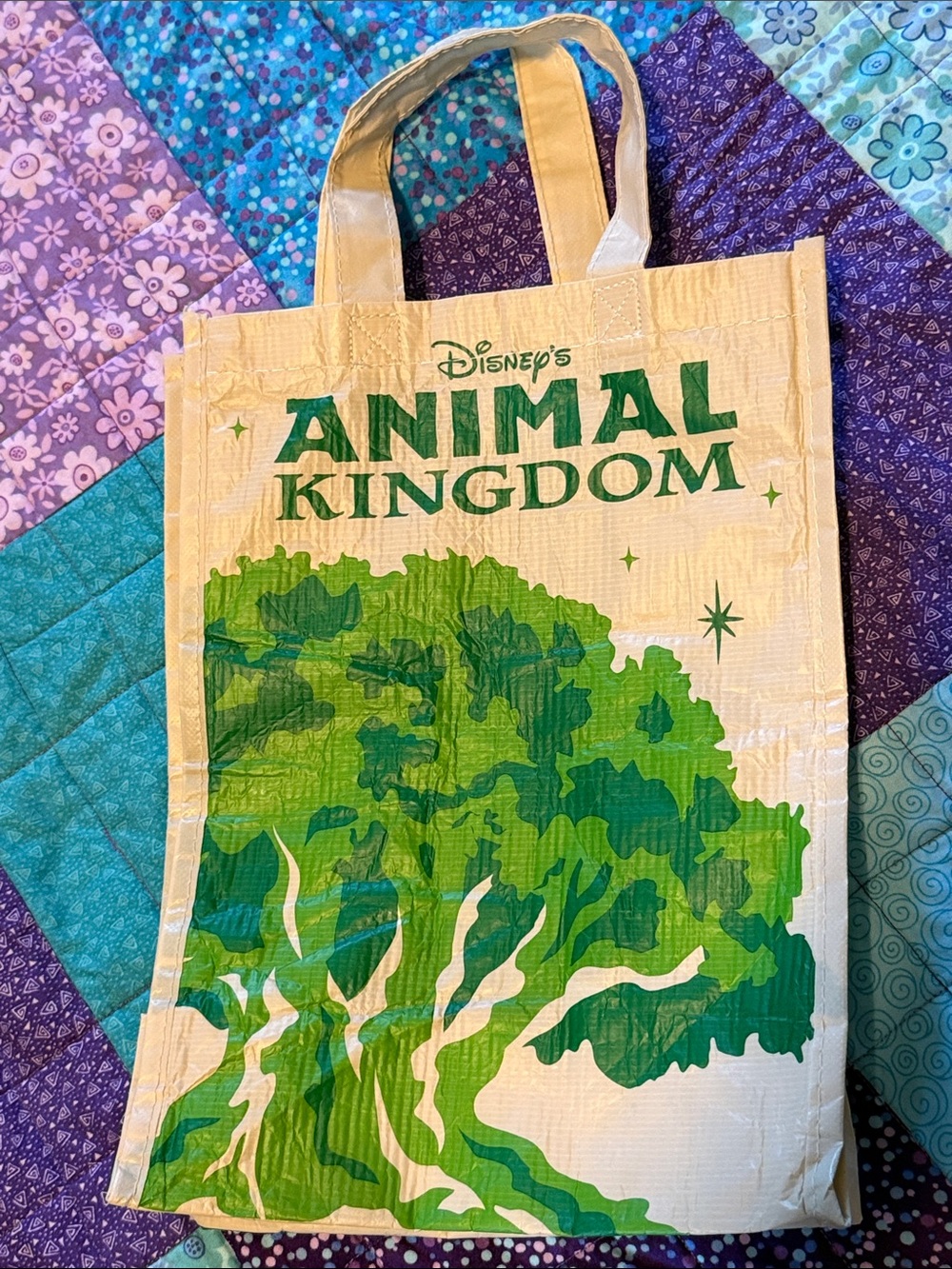 Disney Animal Kingdom small reusable tote bag 12x9x5.5